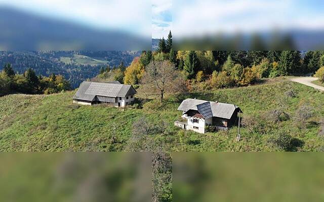 Продажа, недвижимость, ферма: СВ. ЖЕРНЕЙ НАД МУТО, 131726 м2: 3