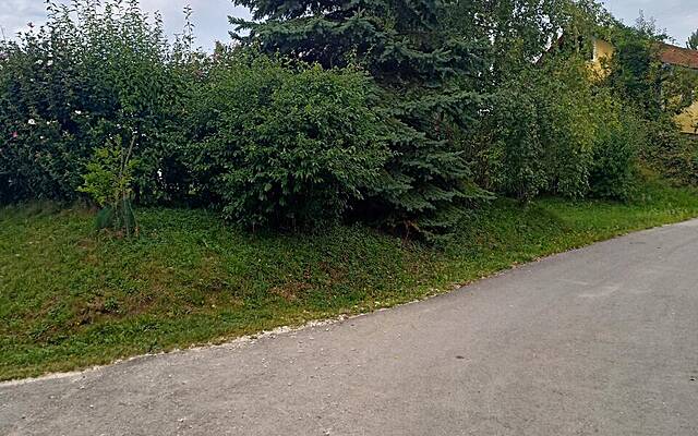 Продажа, недвижимость, строящееся: ЧАГОНА, 2670 м2: 1