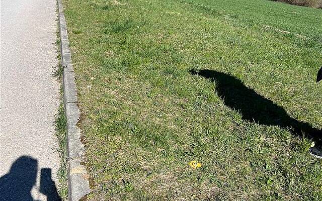 Продажа, недвижимость, новостройка: ДОБРАВА, 800 м2: 2
