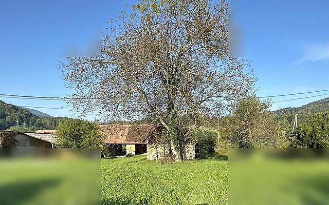 Продажа, недвижимость, строящееся здание: FALA, 403 м2: 1