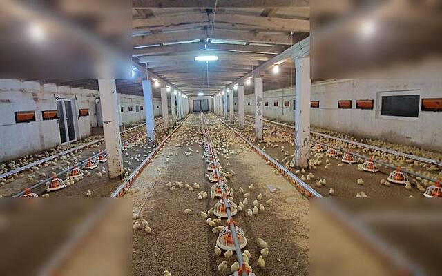 Продажа, недвижимость, ферма: ФАРОВЕЦ, НЕДАЛЕКО СЛОВА. БИСТРИЦЕ, 81802 м2: 2