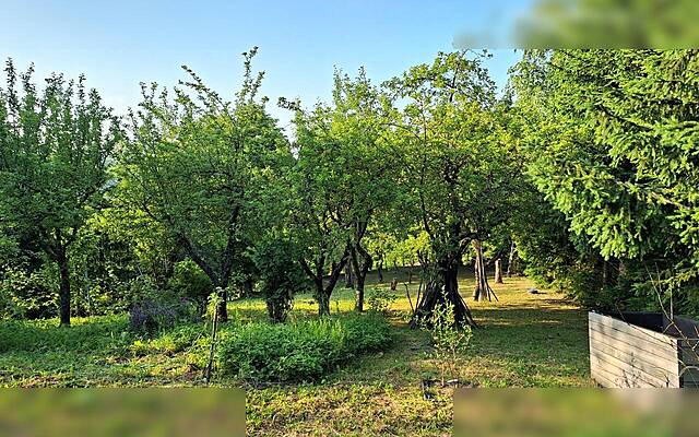 Продажа, недвижимость, строящееся здание: КОЗЯК НАД ПЕСНИЦА, 1513 м2: 1