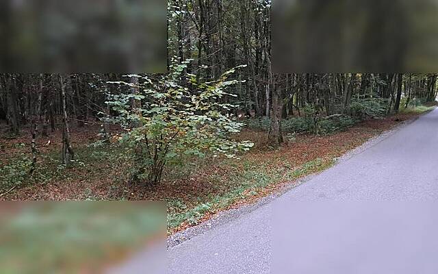Продажа, недвижимость, незастроенная: ОБРЕЖ, 8490 м2: 3