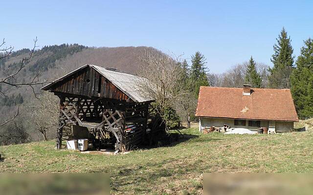 Продажа, недвижимость, ферма: МАРИЯ РЕКА, 175662 м2: 1