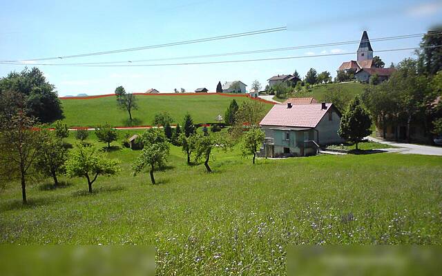 Продажа, недвижимость, ферма: ТОПОЛЕ, ТЕКАЧЕВО, 20200 м2: 3