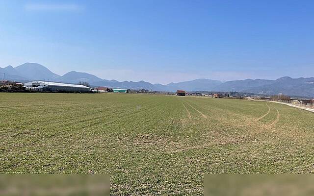Продажа, недвижимость, строящееся: ТРНАВА, 9000 м2: 1