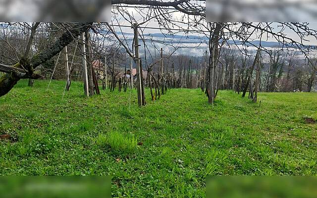 Продажа, недвижимость, земля сельскохозяйственного назначения: ЧРНОМЕЛЬ, ОКОЛИЦА, ДОБЛИЧКА ГОРА, 4040 м2: 3
