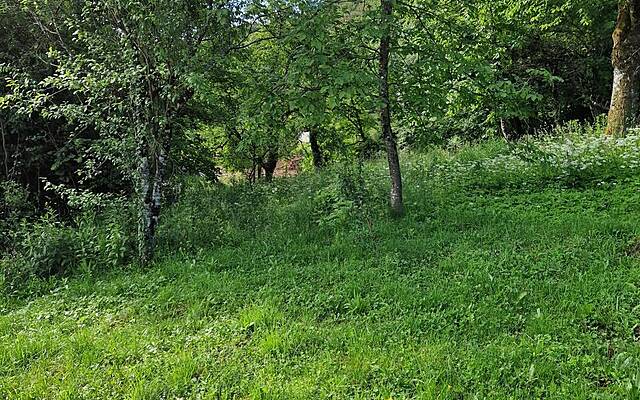 Продажа, недвижимость, строящееся здание: ВЕЛИКИ ПОДЛЮБЕН, 2228 м2: 1