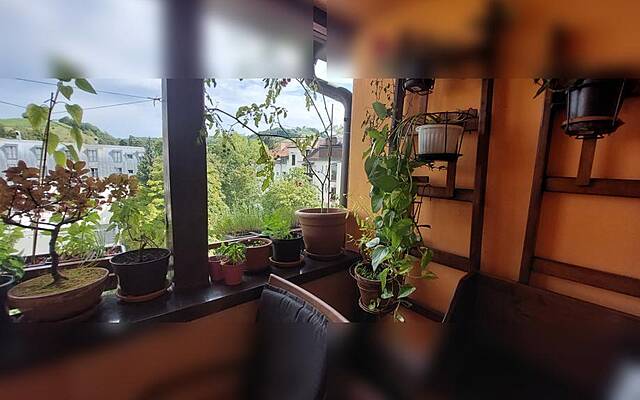 Красивая мансардная квартира в центре Марибора (продается): 2