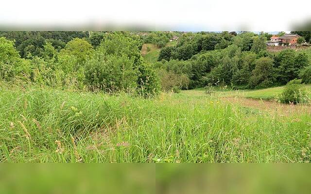 продажа, земля под застройку, Подравска Дорнава Поленшак: 2