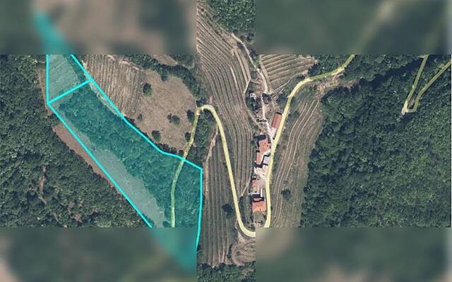 Земля сельскохозяйственного назначения в Горишке Брды - село Бело: 2