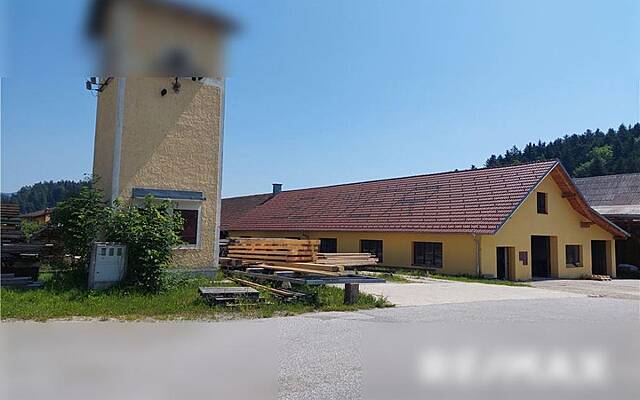 Производственный объект, деревообрабатывающий цех (продажа): 1