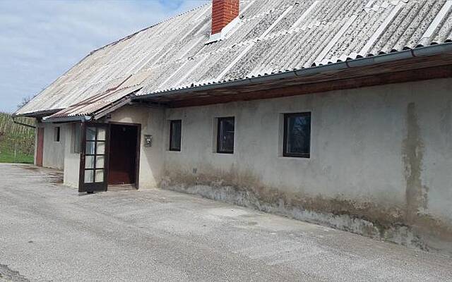 Помещения для обслуживания коммерческих помещений, Птуй (продажа): 1