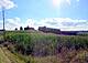 Ферма на солнечном холме панорамной местности : 18 (превью)