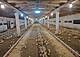 Дом и хозяйство под Словенской Бистрицей: 2 (превью)