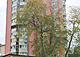 Трехкомнатная квартира в Шишке: 1 (превью)